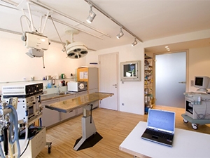 Wirnsberger Andrea Dr med vet, B.ac