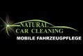 Natural Car Cleaning