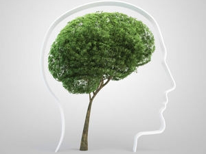 Psychotherapeutische Praxis Ulrike HADERER - Institut für seelische Gesundheit