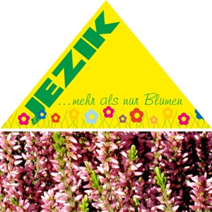 Blumen Jezik
