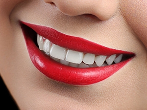 Dr. Elisabeth Stastny