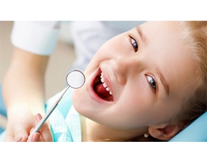 Dr. Reinhold Brünner