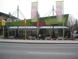 Blumen im Bahnhof Veronika Schmeikal