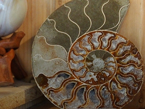 Mein Stein - Martina Reimair