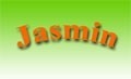 Asiatisches Restaurant JASMIN Inh. JIE GmbH