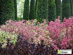 Wittwer Christian Ing. e.U.